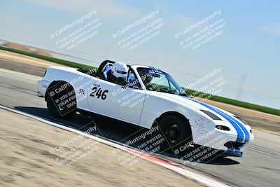 media/May-24-2025-Turn8 Trackdays (Sat) [[034586b55d]]/2 Advanced 1/Session 2 (Cotton Corners-Grapevine)/